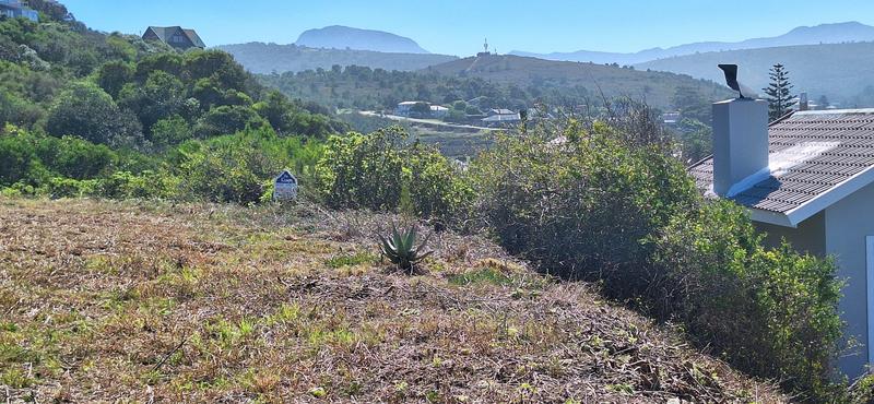 0 Bedroom Property for Sale in Groot Brakrivier Central Western Cape